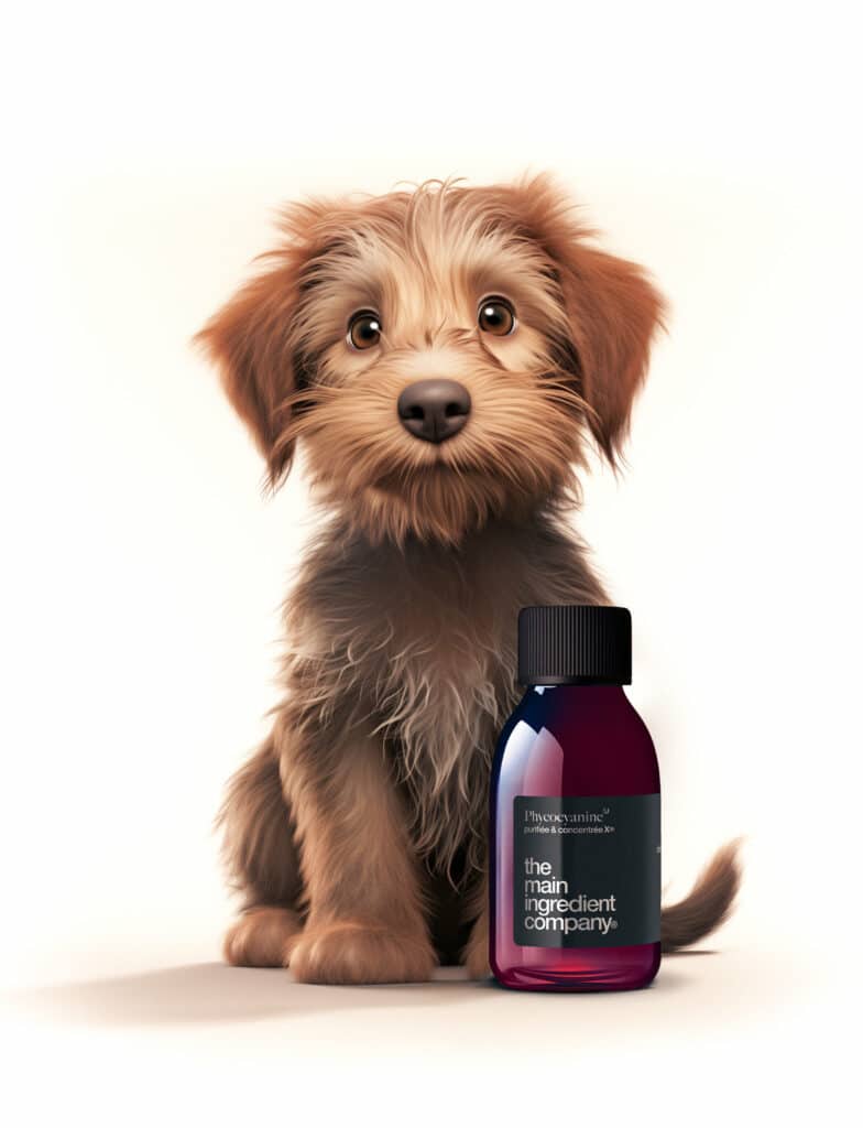 Complément alimentaire naturelle avancée pour le chien, par the main ingredient company