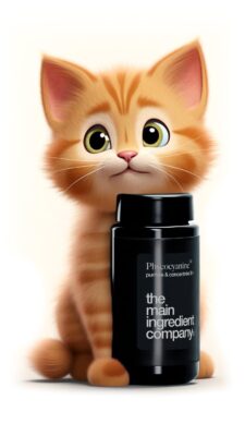 Un chaton roux tenant une bouteille de phycocyanine, symbolisant les bienfaits des compléments alimentaires de The Main Ingredient Company pour les animaux.
