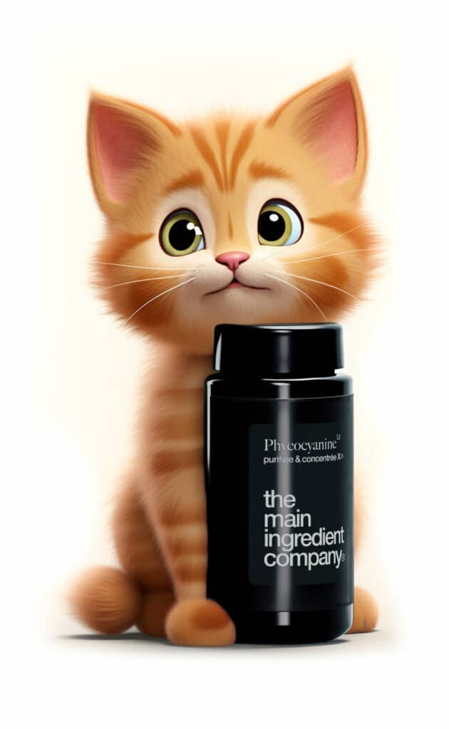 Un chaton roux tenant une bouteille de phycocyanine, symbolisant les bienfaits des compléments alimentaires de The Main Ingredient Company pour les animaux.