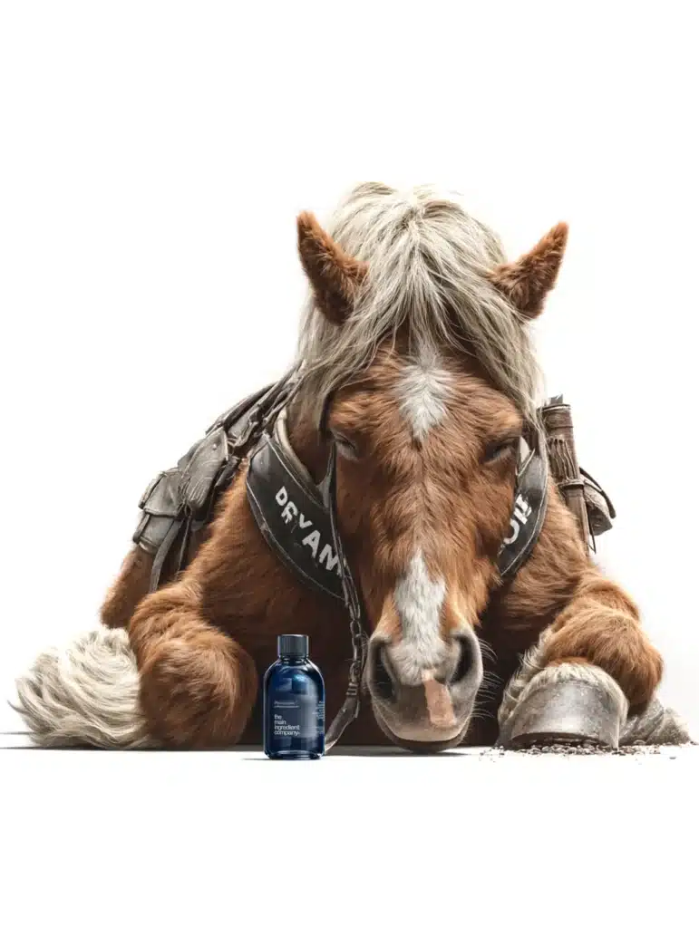 Cheval atteint de PPID (Cushing) reposant paisiblement près d'un flacon de Phycocyanine Omega de The Main Ingredient Company, suggérant un meilleur bien-être.