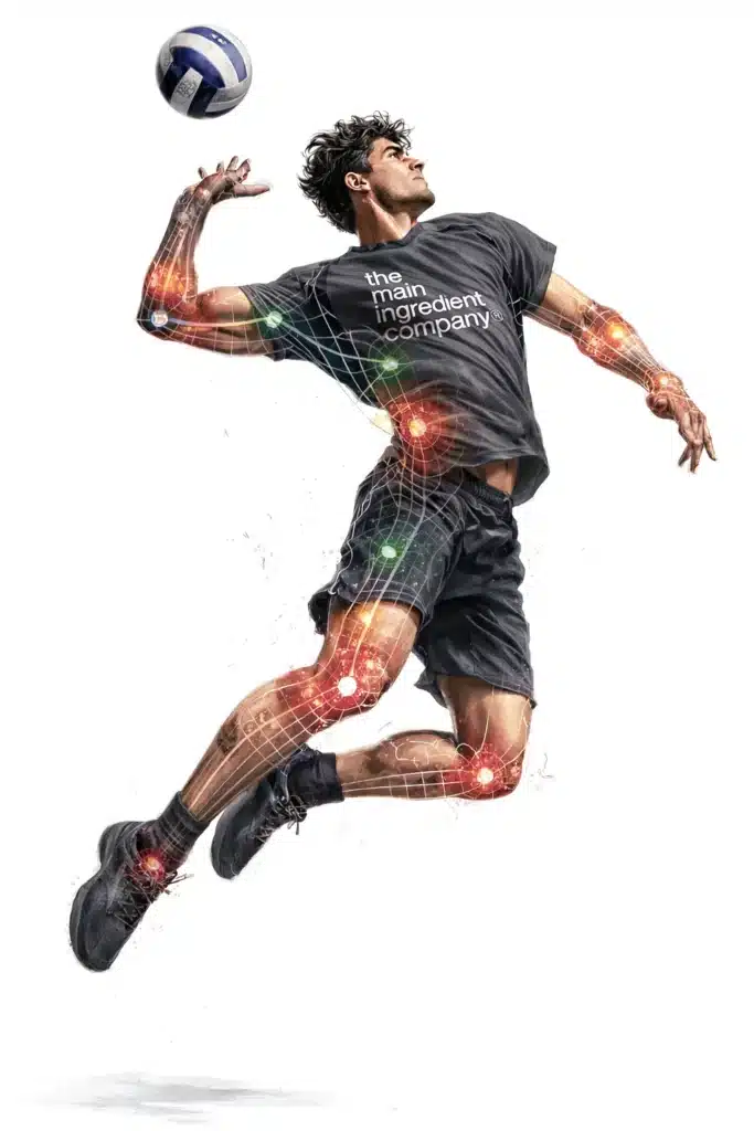 Contraintes conjonctives du sportif en action : visualiser les zones de stress tissulaire - Collagène HA ω Volleyeur en suspension smash portant le maillot the main ingredient company ; superposition d'une grille de tissu conjonctif et de points de chaleur orange-rouge sur les zones de contrainte articulaire réelle - poignets, coudes, genoux et chevilles - illustrant l'activation des métalloprotéinases et la dégradation matricielle sous effort intense